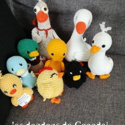 Canards oie jars