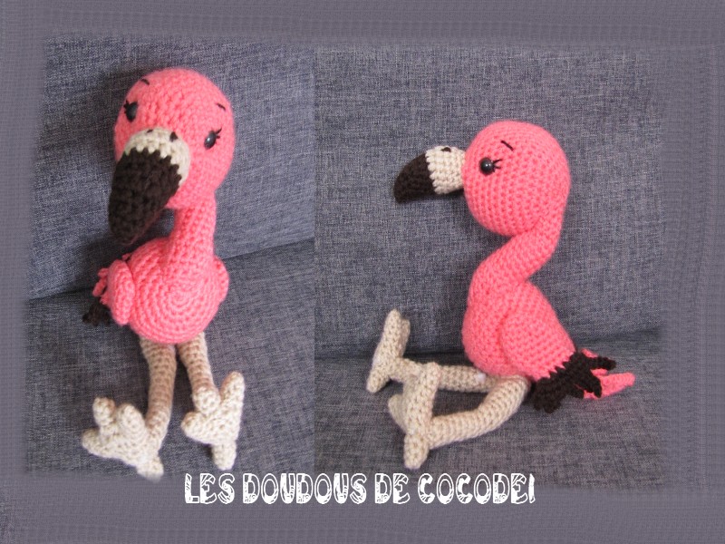 flamant rose 