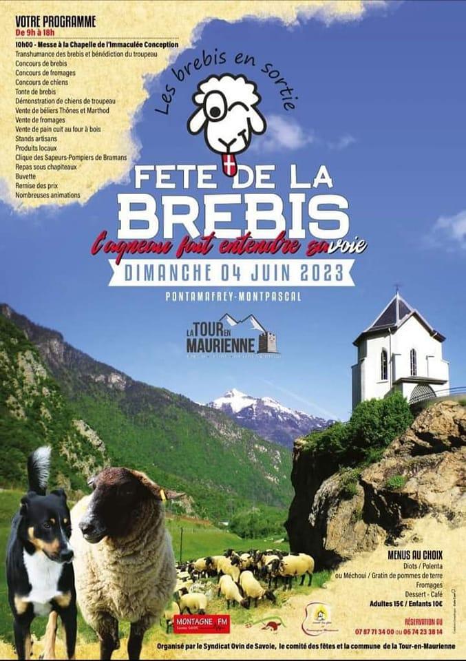 Fete brebis